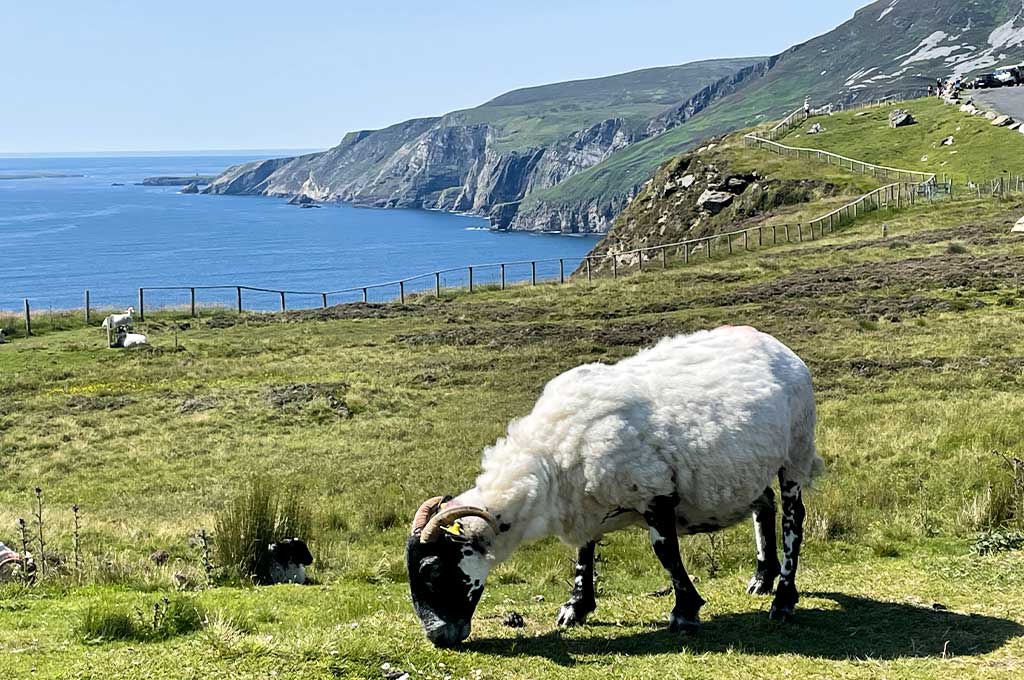 Travel in Ireland